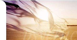 Psychics Connect.com